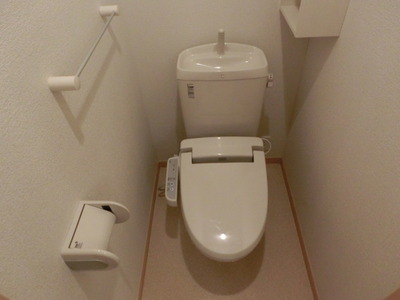 Toilet. Shower toilet