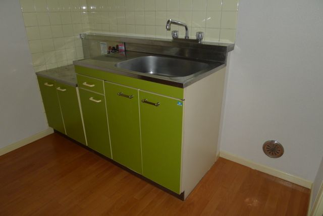 Kitchen. Gas stove 2-neck