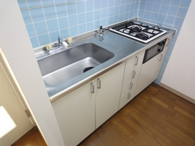 Kitchen. System kitchen gas 2-neck