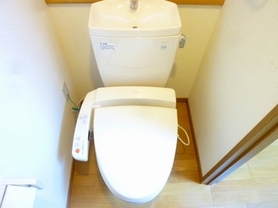 Toilet. Washlet with function (reference photograph of another in Room)