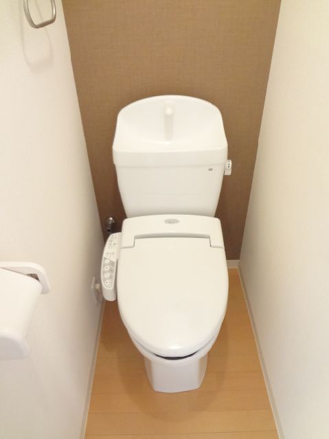 Toilet. Stylish toilet to settle