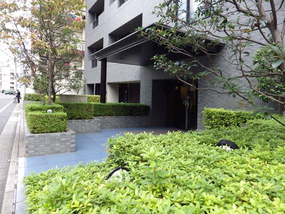 Local appearance photo. Local (10 May 2012) shooting