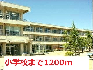 Primary school. 1200m to the song of the forest elementary school (elementary school)