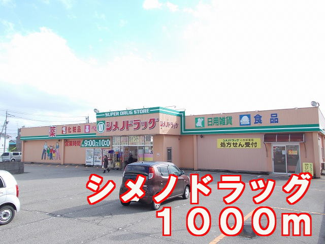 Dorakkusutoa. Shimeno 1000m to drag (drugstore)