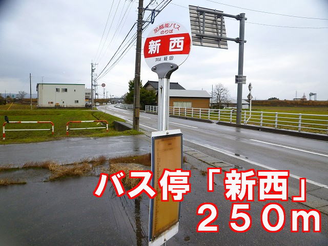 Other. Bus stop 250m until the "New West" (Other)