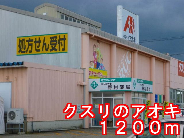 Dorakkusutoa. Usuri of Aoki 1200m up (drugstore)