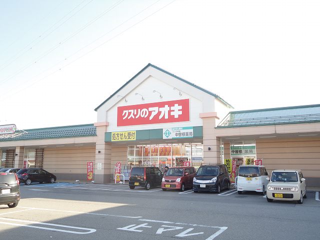 Dorakkusutoa. Medicine of Aoki 450m to (drugstore)