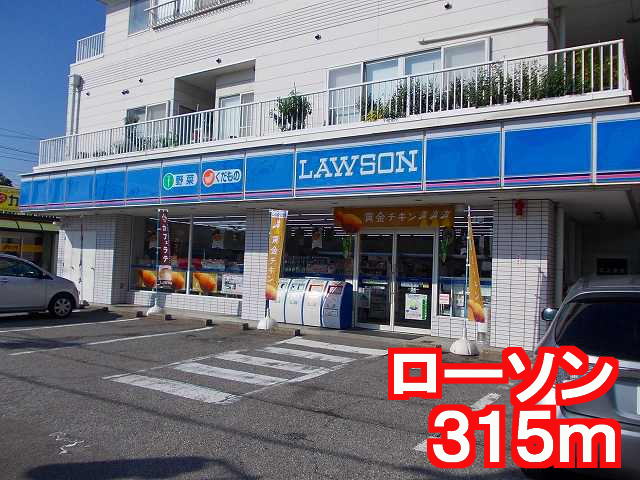 Convenience store. 315m until Lawson (convenience store)