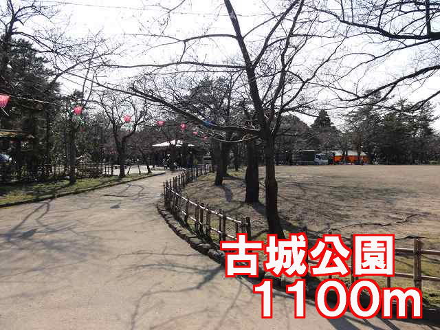 park. Kojo 1100m to the park (park)