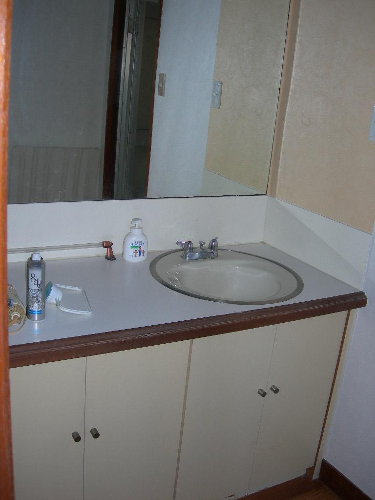 Wash basin, toilet. Indoor (March 2010) Shooting