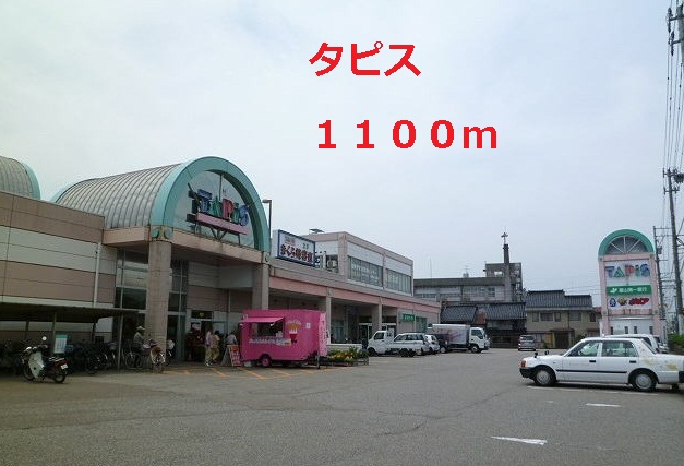 Shopping centre. Tapis until the (shopping center) 1100m