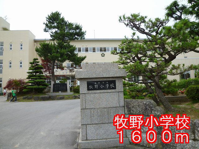 Primary school. Makino 1600m up to elementary school (elementary school)