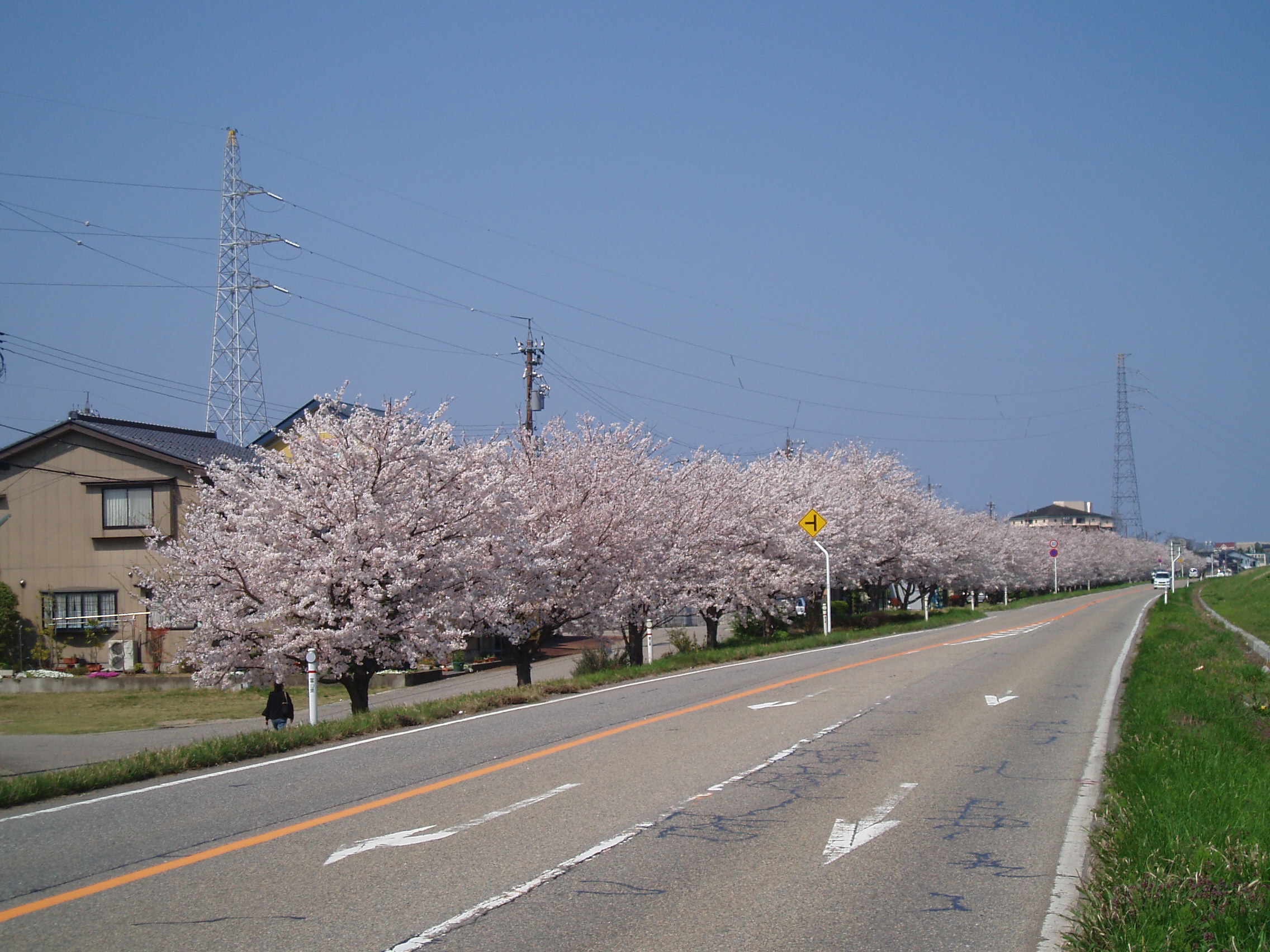 View. In the spring you can enjoy cherry trees