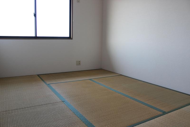 Living and room. Japanese style room