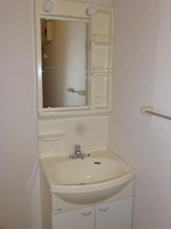 Washroom. Bathroom vanity