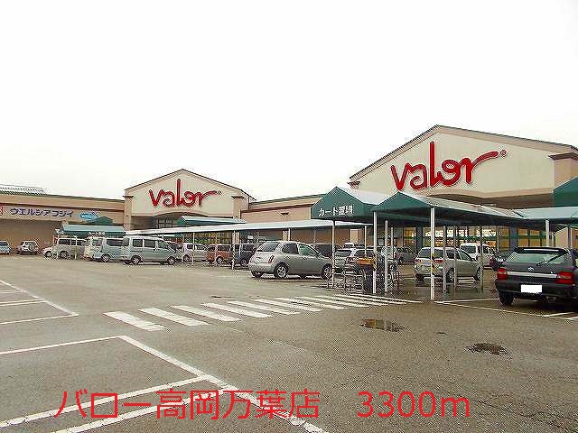 Supermarket. 3300m to Barrow Manyo Takaoka store (Super)