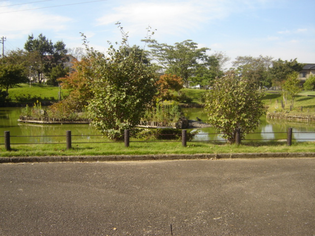 View. Neighborhood park