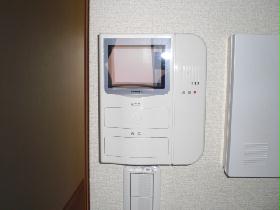 Other. Also equipped with intercom with monitor
