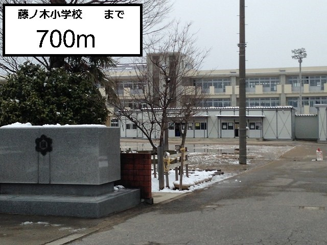 Primary school. Fujinoki 700m up to elementary school (elementary school)