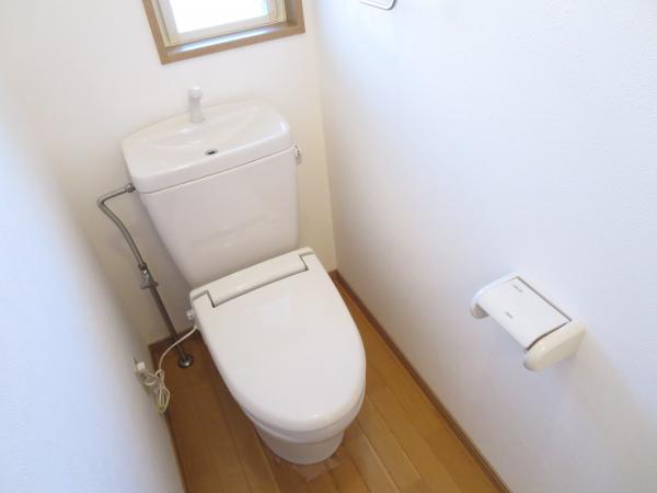 Toilet. It has become a bright space