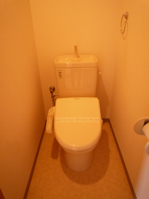 Toilet. Clean in the Washlet ☆