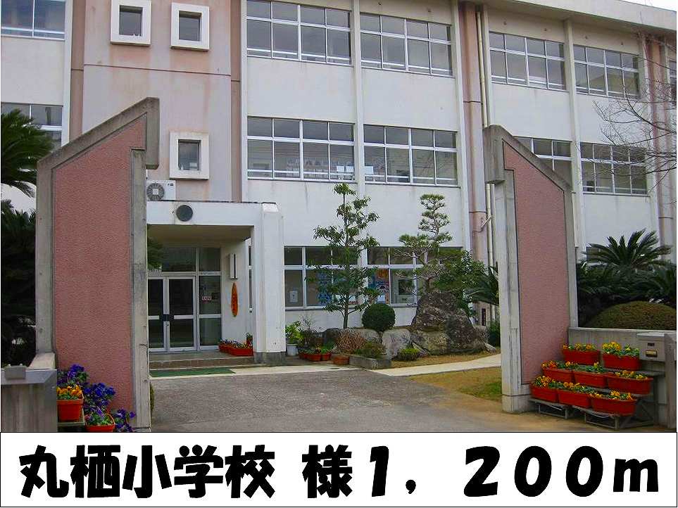 Primary school. Mars Elementary School 1200m to like (elementary school)
