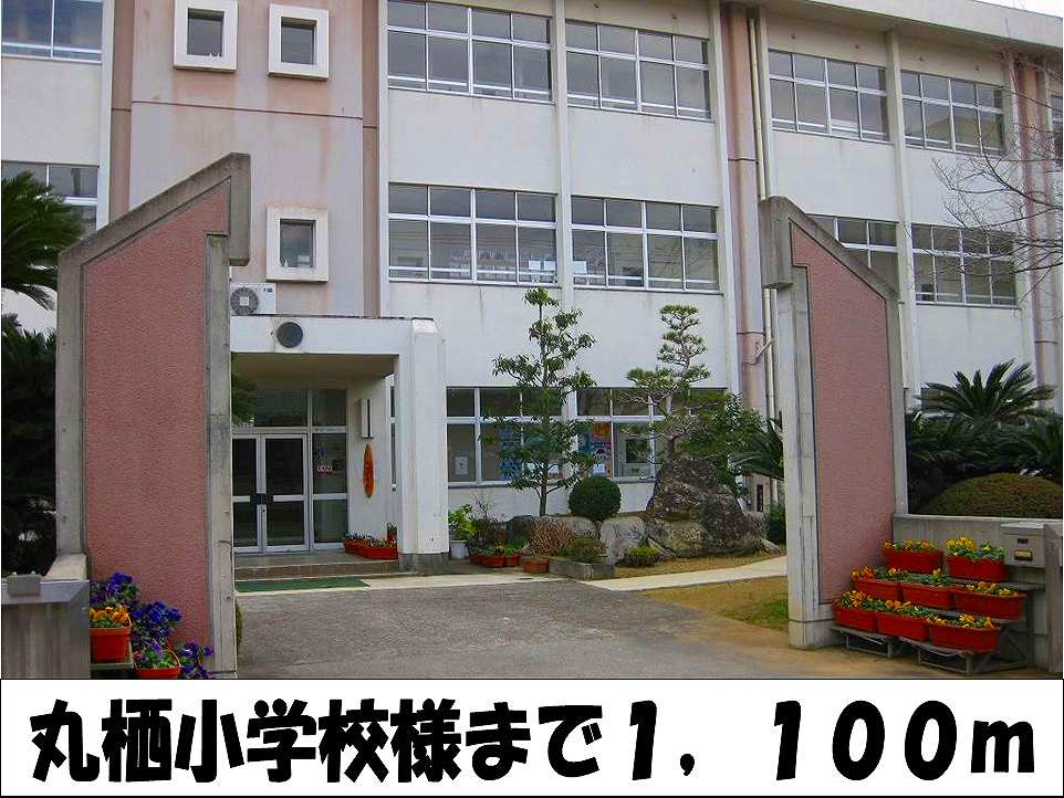 Primary school. Mars Elementary School 1100m to like (elementary school)