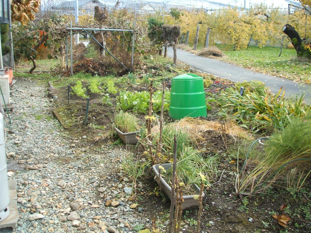 Garden. Local (12 May 2013) Shooting field