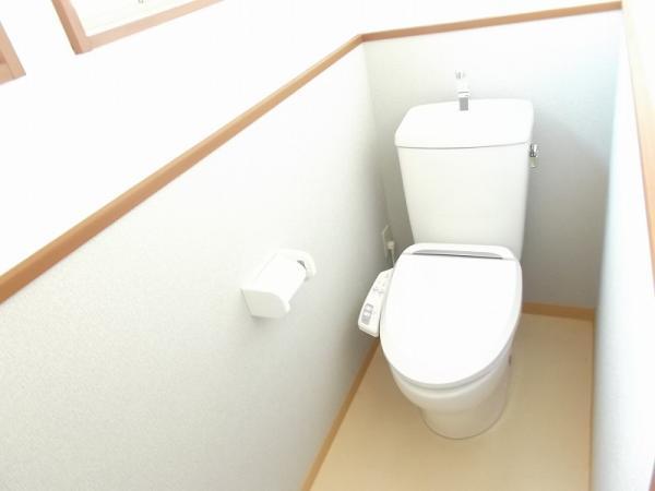 Non-living room. Toilet with cleanliness
