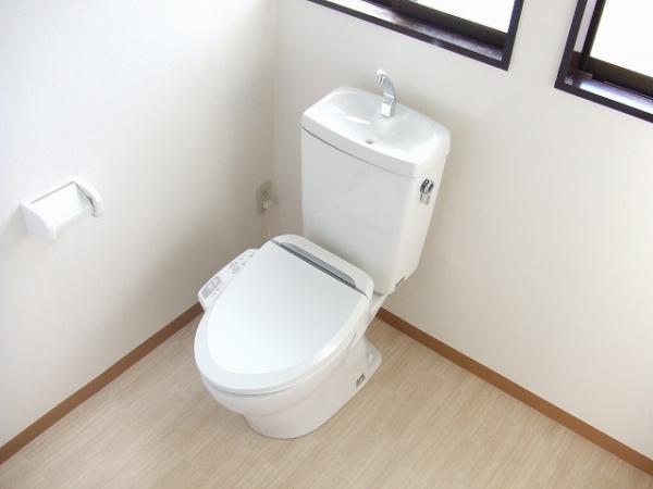 Toilet. Cleaning is also convenient wide toilet