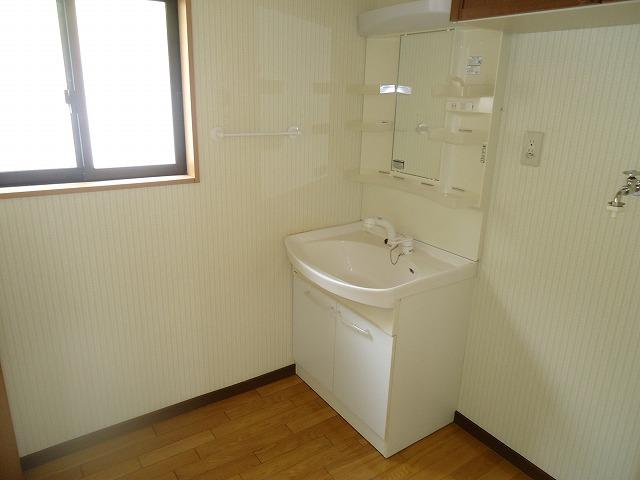 Wash basin, toilet. Spacious wash room