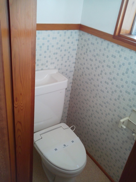 Toilet. Western with heating toilet seat