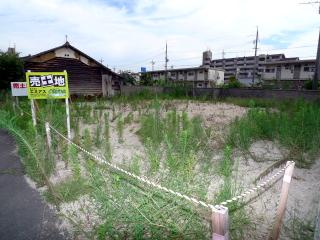Local land photo