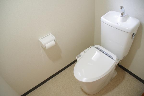 Toilet. Each floor, It was with a new washing warm seat toilet. Warm even in winter