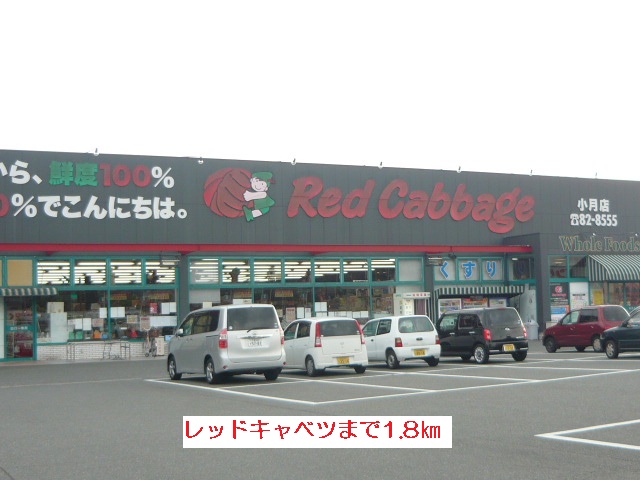 Supermarket. Red 1800m until the cabbage (super)