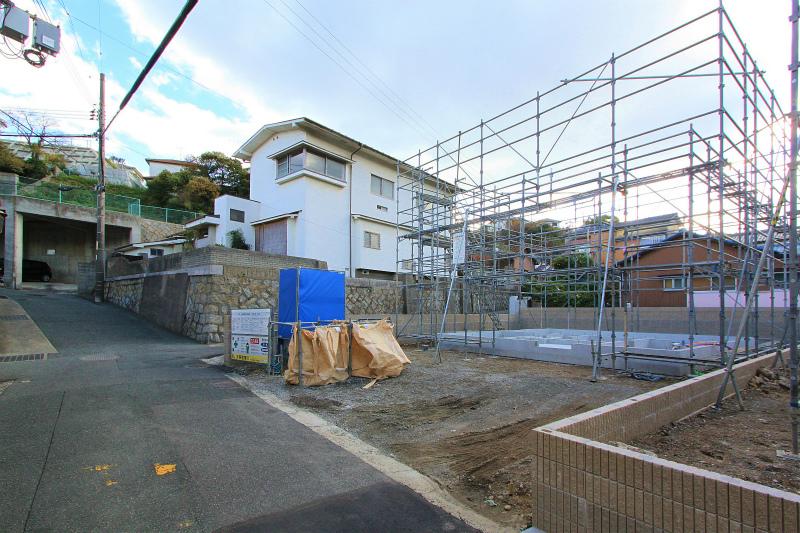 Local photos, including front road. 2013 November 26, shooting