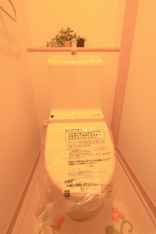 Toilet. 2013 August 20 shooting