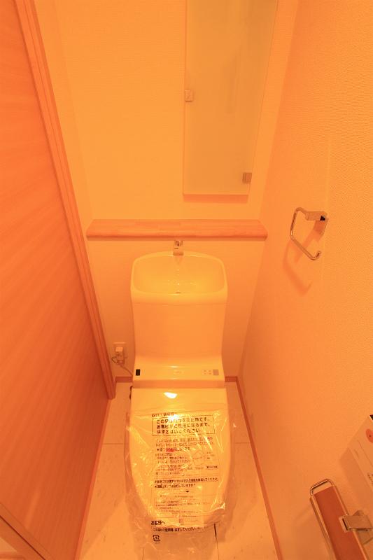 Toilet. 2013 December 20, shooting