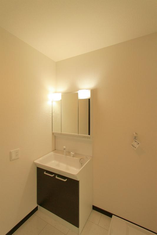 Wash basin, toilet. 2013 November 5 shooting