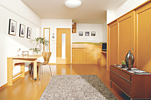Living and room. It will be the typical introspection image of the same type Property. 