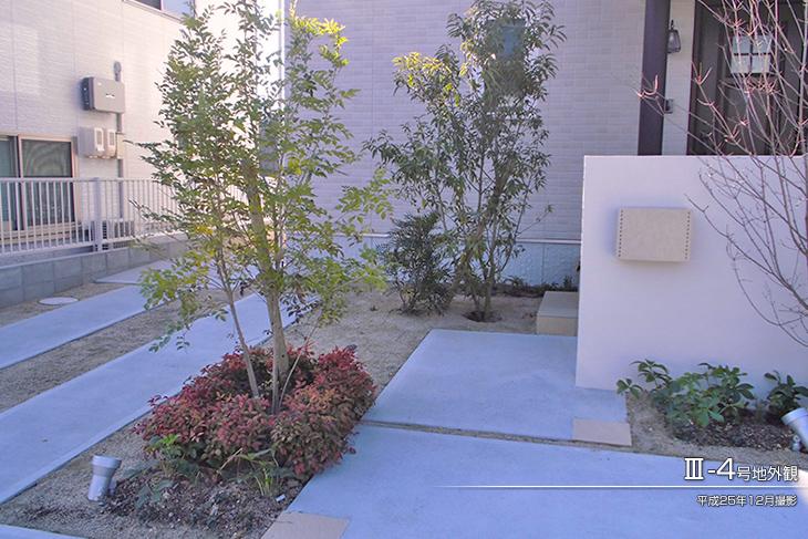 Garden.  [III -4 No. land] Appearance Photo] 2013 December shooting