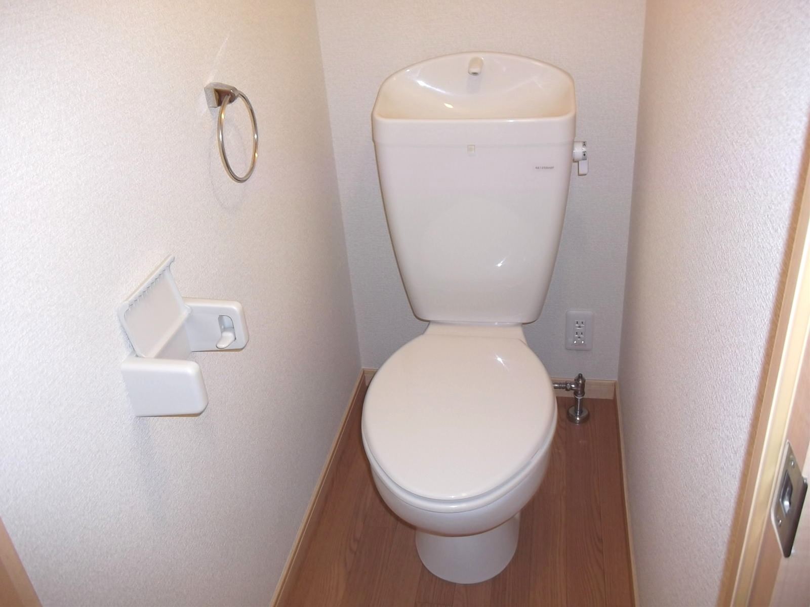 Toilet. Also has a private toilet towel! 