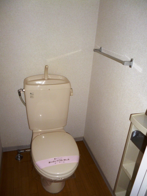 Toilet. Spacious toilet space
