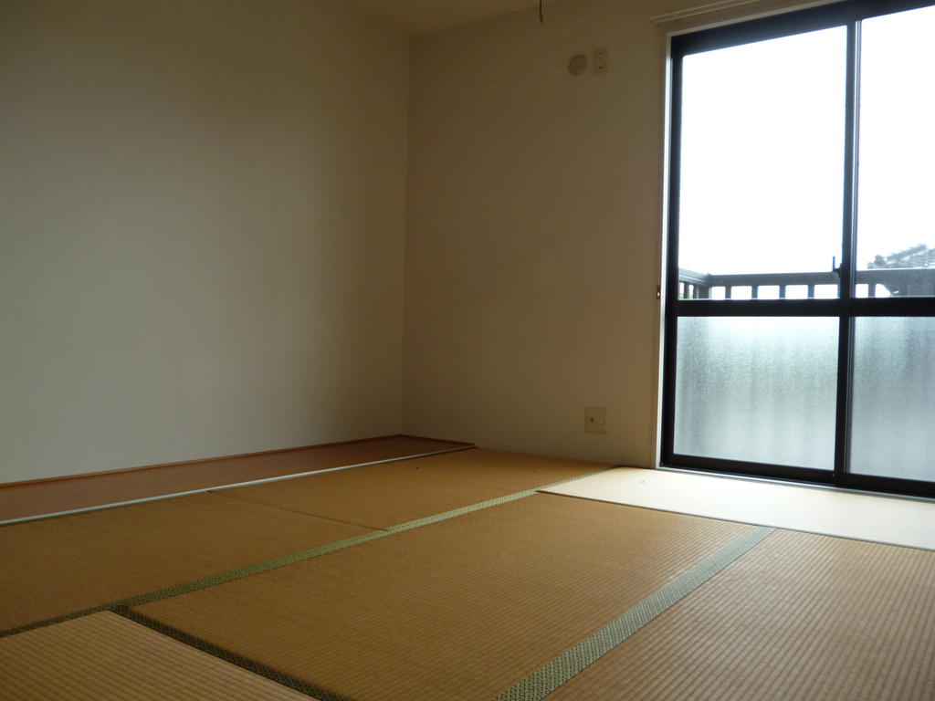 Living and room. Directly out of possible Japanese-style room to balcony