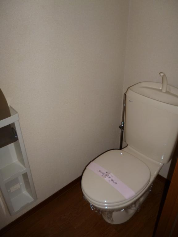 Toilet. Space of balanced toilet