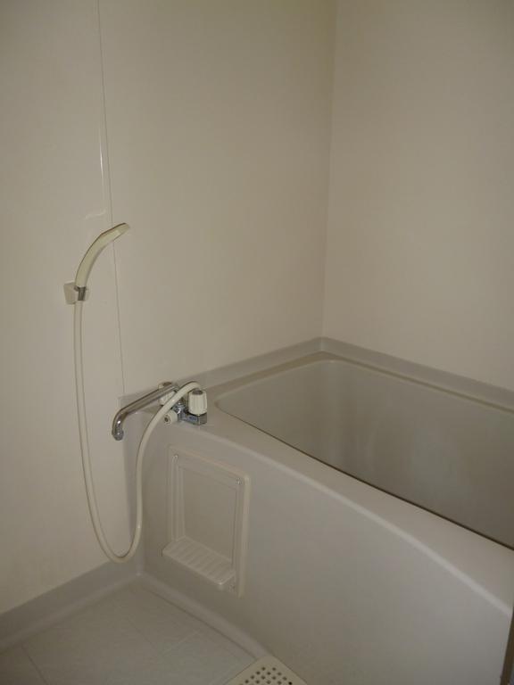 Bath. Shower fully equipped bathroom