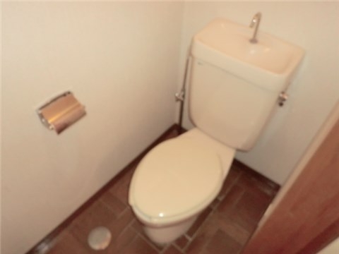 Other. Toilet