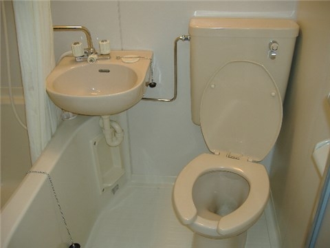 Other. Toilet