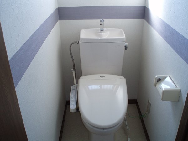 Other. Toilet