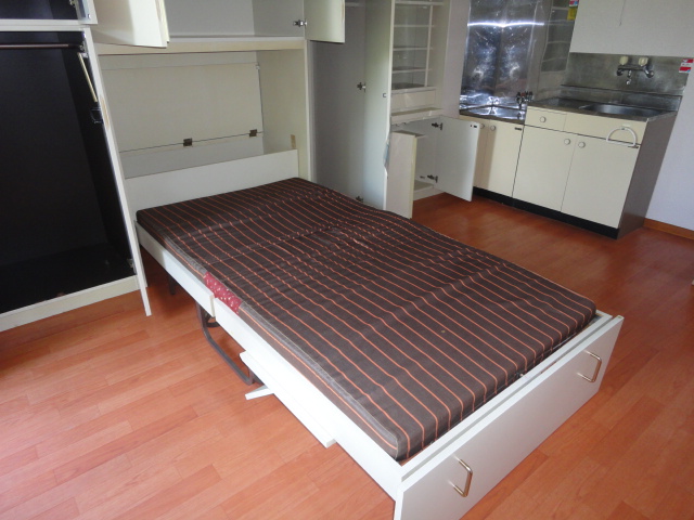Living and room. There are storage bed